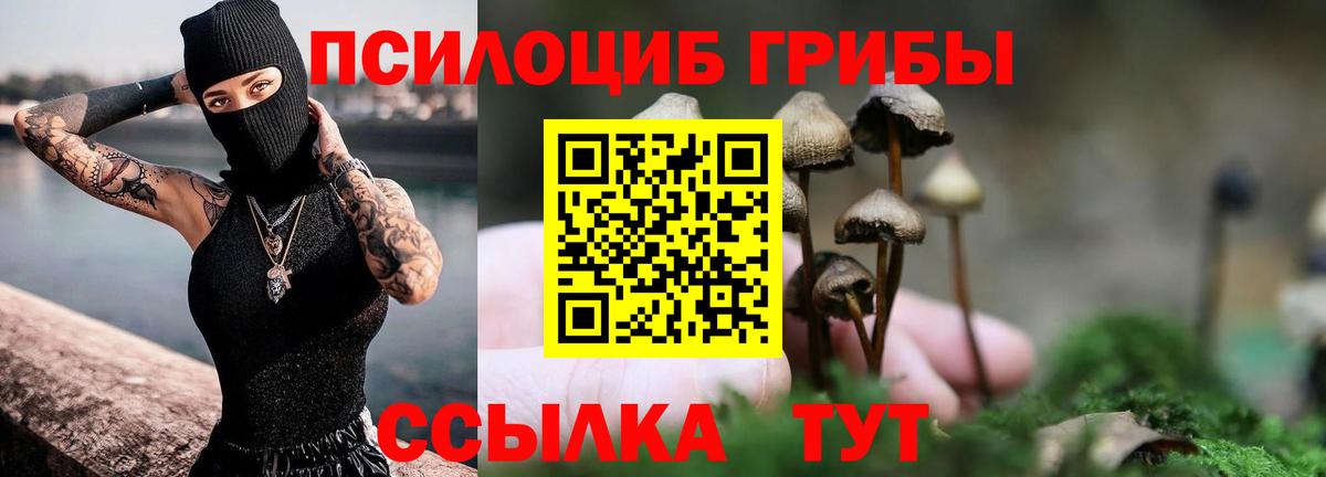 где продают наркотики  Псилоцибиновые грибы прущие грибы  Вход с VPN  Кольчугино 